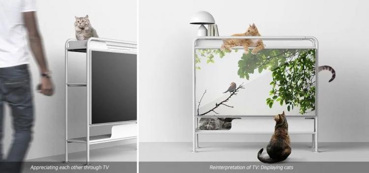 With – Shared Comfort Television Design