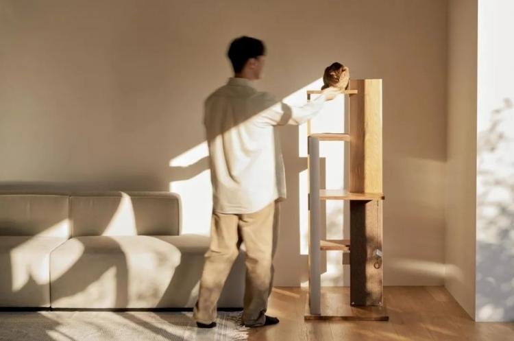 PETPARTMENT – Apartment Living for Cats