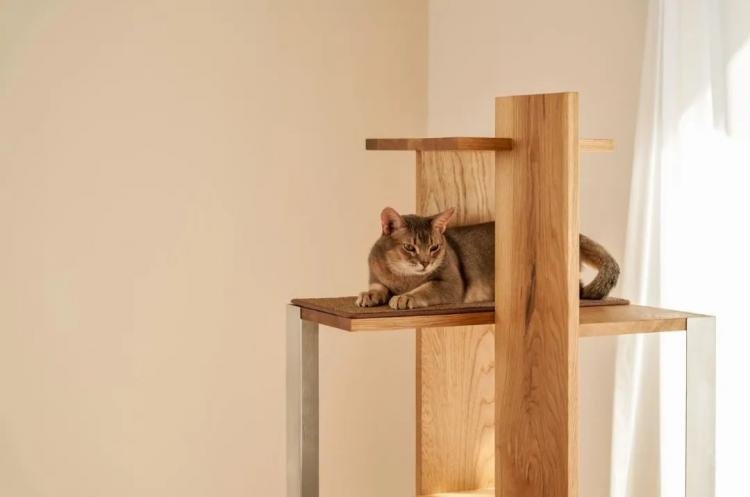 PETPARTMENT – Apartment Living for Cats