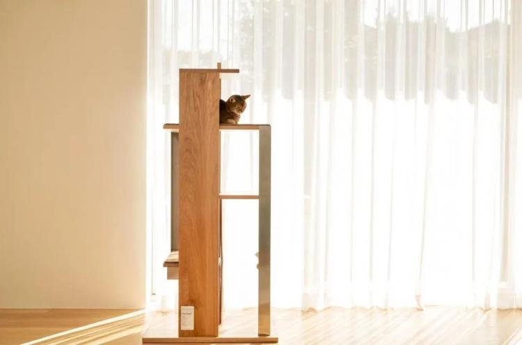 PETPARTMENT – Apartment Living for Cats