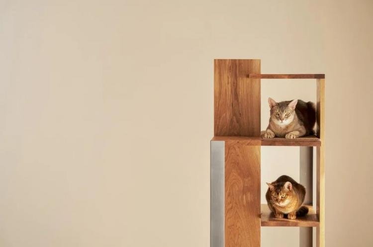PETPARTMENT – Apartment Living for Cats