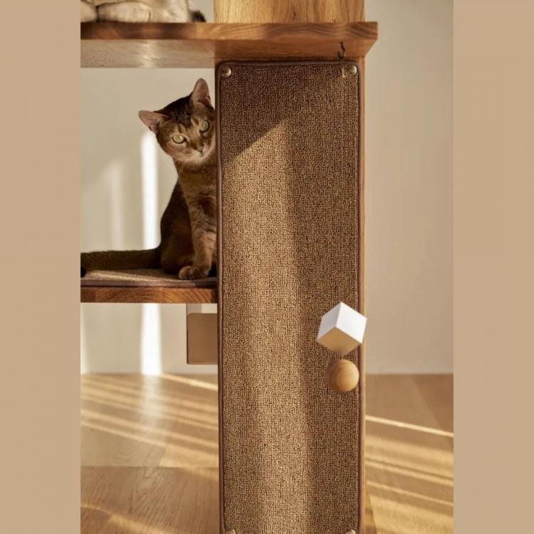 PETPARTMENT – Apartment Living for Cats