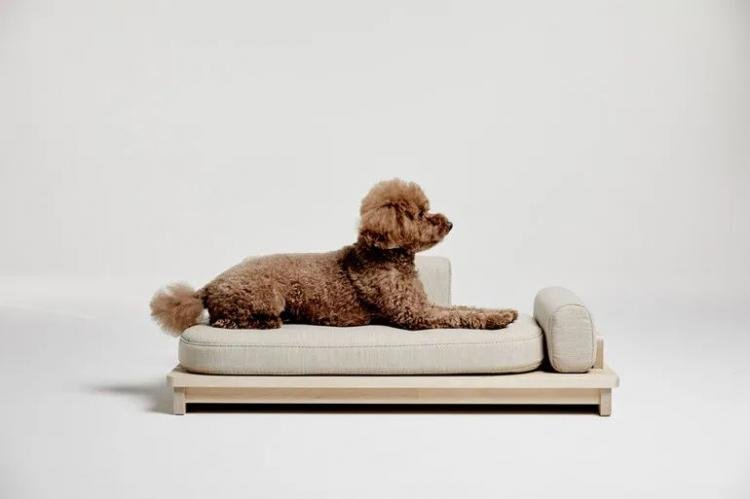  Linden – Minimalist Sofa Bed for Pets