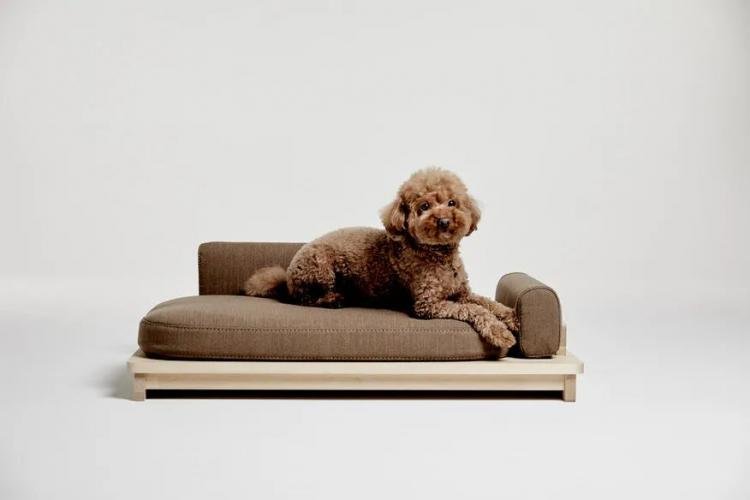  Linden – Minimalist Sofa Bed for Pets