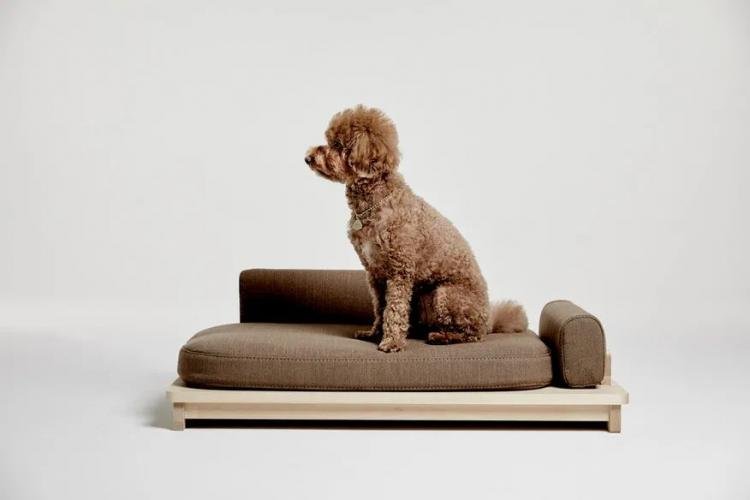  Linden – Minimalist Sofa Bed for Pets