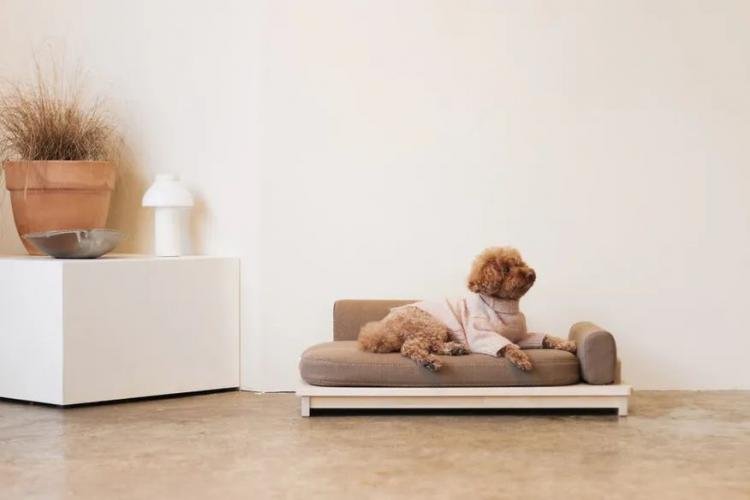  Linden – Minimalist Sofa Bed for Pets