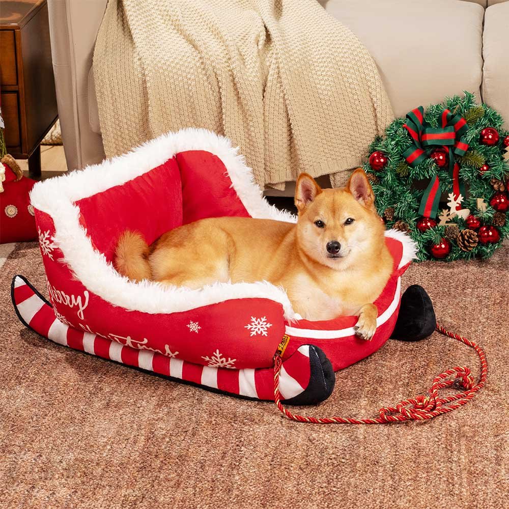 Dog lying in a red Christmas sleigh-shaped plush pet bed with white faux-fur trim indoors.