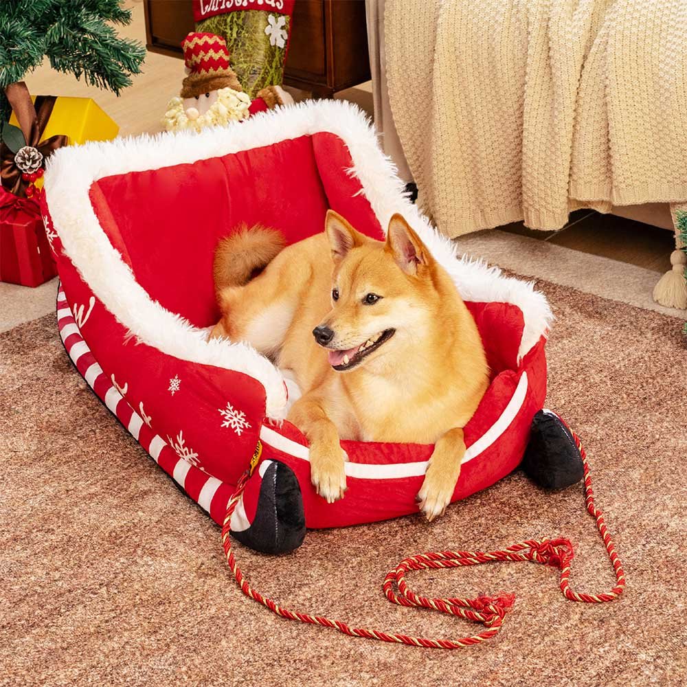 Festive plush cozy dog bed styled as a holiday sleigh with a medium dog relaxing inside.