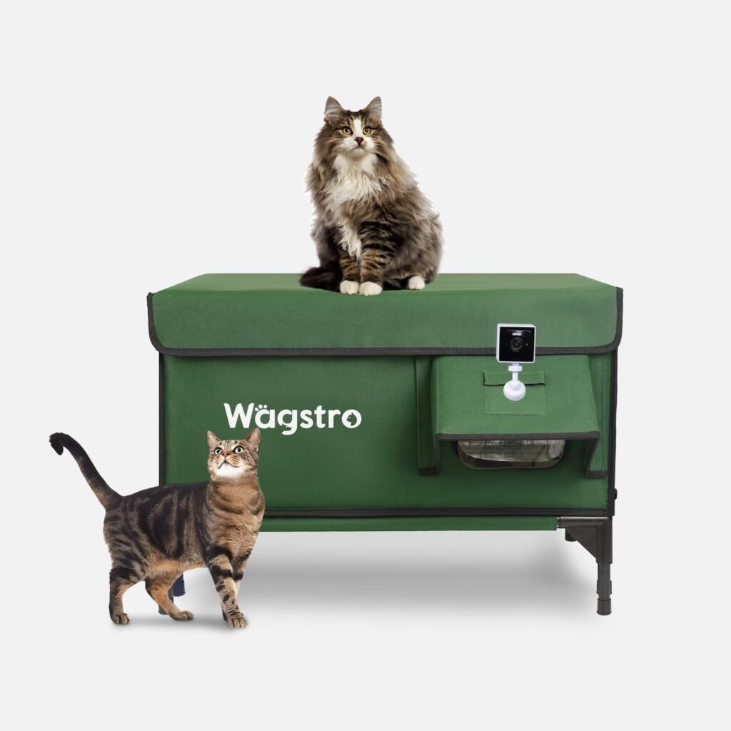 Ginger cat relaxing on top of the Wägstro All-Guard Heated Cat House in a cozy backyard setting, showing its waterproof forest green fabric and elevated frame design.