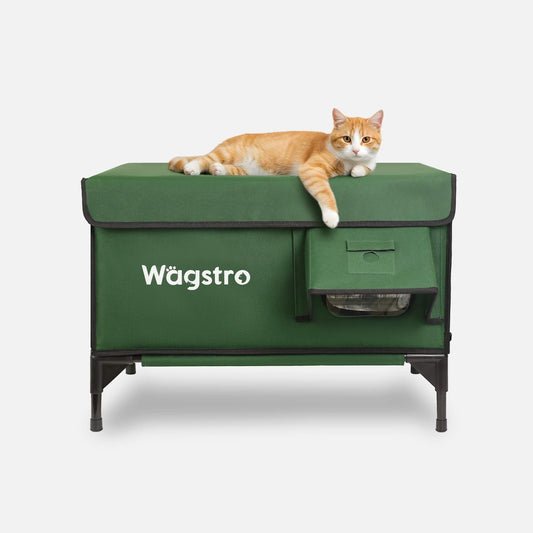 Ginger cat relaxing on top of the Wägstro All-Guard Heated Cat House in a cozy backyard setting, showing its waterproof forest green fabric and elevated frame design.