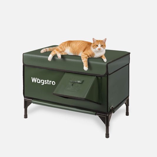 Ginger cat relaxing on top of the Wägstro All-Guard Heated Cat House in a cozy backyard setting, showing its waterproof forest green fabric and elevated frame design.