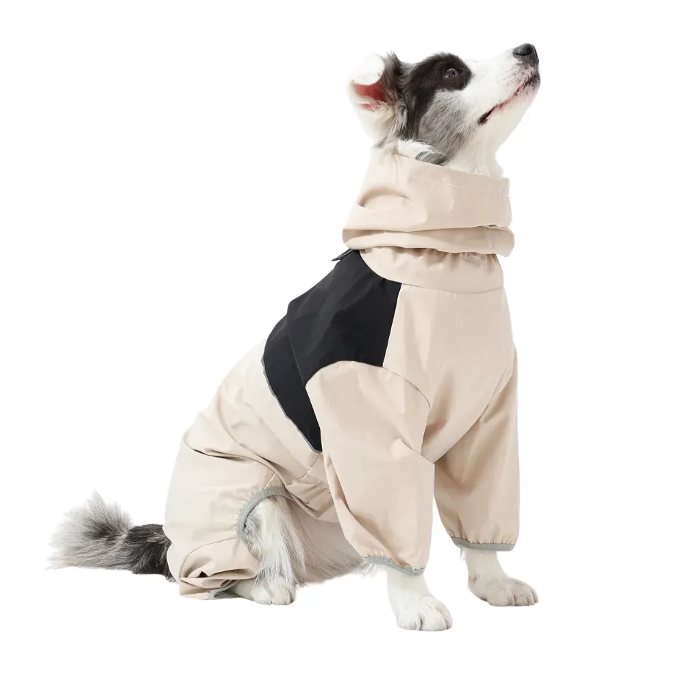 Full-body coverage design demonstrating rain protection for dogs