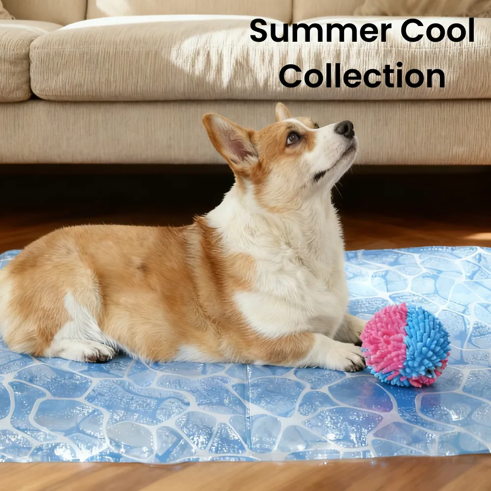 Medium-sized dog relaxing on petbw.com Water Wave cooling mat in a bright summer indoor scene