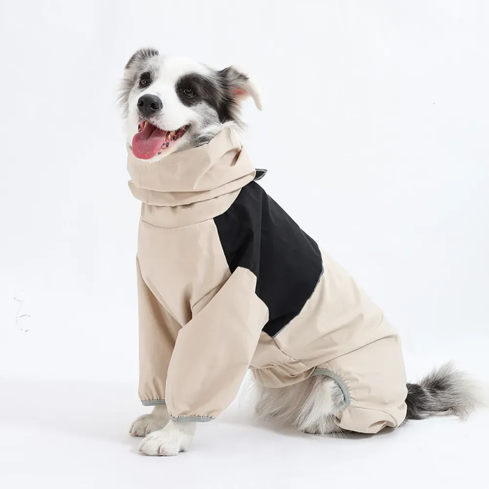 Dog wearing waterproof jacket outdoors in rainy weather